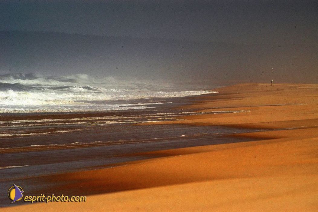 Nom de l'image : EP08-0348_(c)Norbert-JUNG — Description :